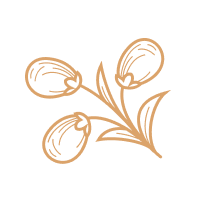Botanical artwork embellishment