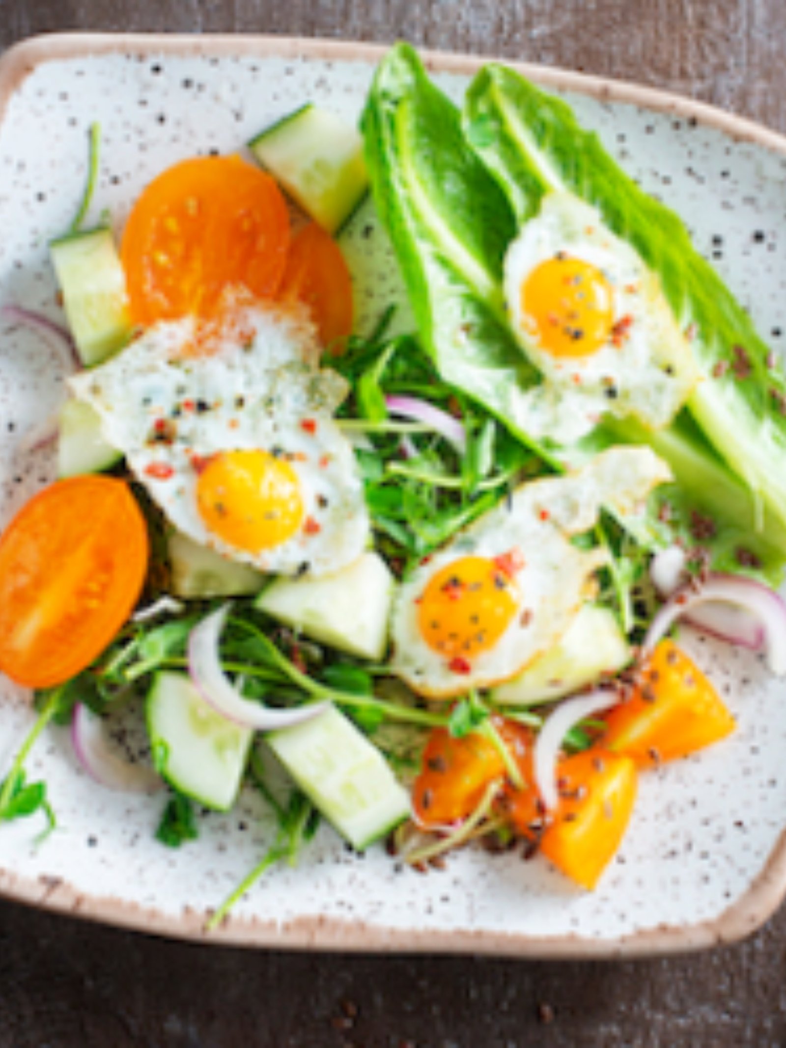 Best Cafes for Working Professionals in Dehradun